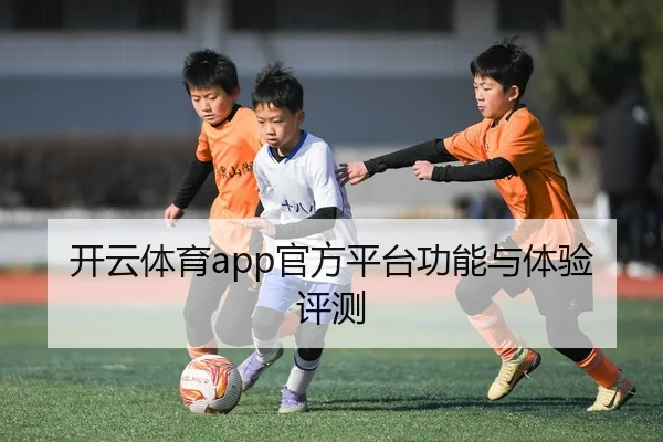 开云体育app官方平台功能与体验评测