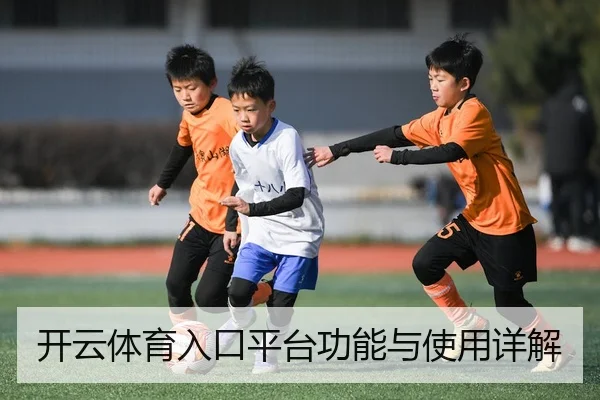 开云体育入口平台功能与使用详解